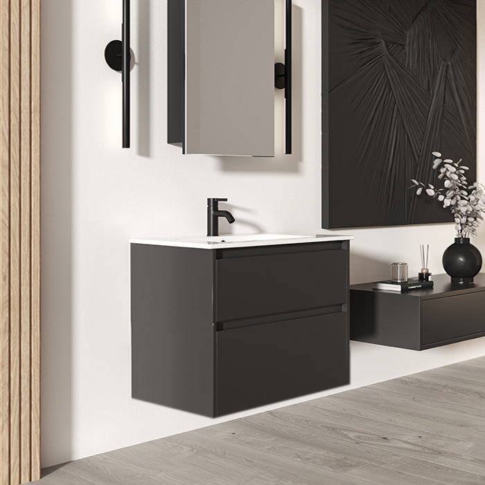 Elementi Novara 2 Drawer Wall Hung Vanity 750mm | Available in 11 Colours