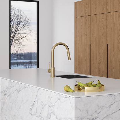 Elementi Uno Gooseneck Kitchen Mixer with Pull Out Spray - Gunmetal