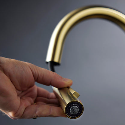 Elementi Uno Gooseneck Kitchen Mixer with Pull Out Spray - Gunmetal